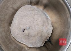 坚果全麦面包(波兰种)的做法图解9