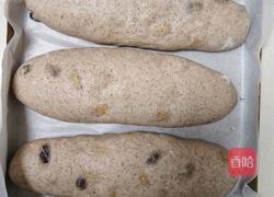 坚果全麦面包(波兰种)的做法图解16