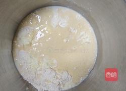 鲜奶提子吐司（2个450g吐司）牛奶液种的做法图解4