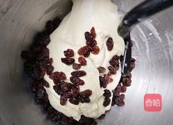 鲜奶提子吐司（2个450g吐司）牛奶液种的做法图解7