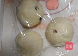 鲜奶提子吐司（2个450g吐司）牛奶液种的做法图解12