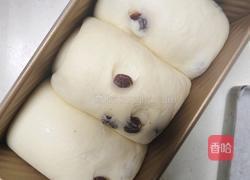 鲜奶提子吐司(2个450g吐司)牛奶液种的做法图解18