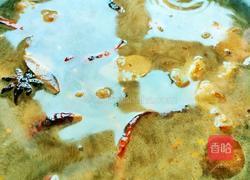 萝卜烧牛腩（低脂版）的做法图解13