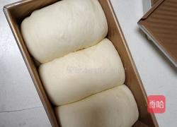 炼奶吐司的做法图解11