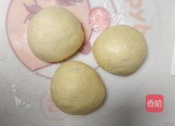 北海道巨蛋吐司(百分百中种)的做法图解10