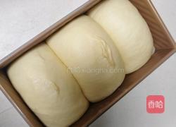 北海道巨蛋吐司(百分百中种)的做法图解16