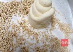 蜂蜜脆皮小面包(28方盘波兰种)的做法图解22