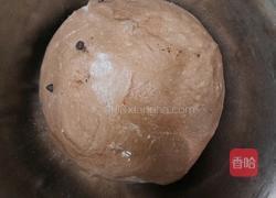 (波兰种)可可淡奶吐司(2个450g)的做法图解9