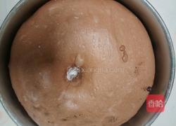 （波兰种）可可淡奶吐司(2个450g)的做法图解11