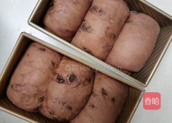 （波兰种）可可淡奶吐司(2个450g)的做法图解21