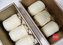 巴斯克吐司(2个450g)的做法图解14
