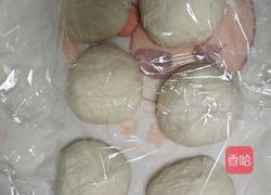 白吐司(波兰种)最适合做三明治的吐司的做法图解9
