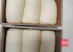 （烫种）鲜奶吐司（2个450g）的做法图解18