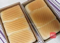 (烫种)鲜奶吐司(2个450g)的做法图解20