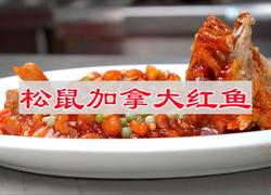 松鼠加拿大红鱼