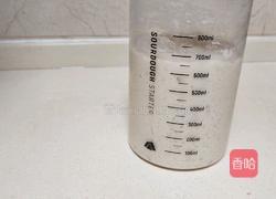 酸奶吐司(波兰种)2个450g吐司的做法图解4