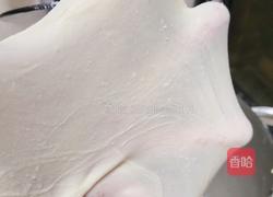 酸奶吐司(波兰种)2个450g吐司的做法图解7