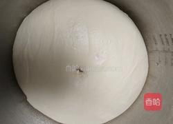 酸奶吐司(波兰种)2个450g吐司的做法图解10