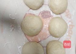 酸奶吐司(波兰种)2个450g吐司的做法图解11