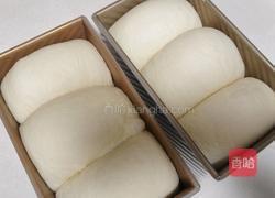 酸奶吐司（波兰种）2个450g吐司的做法图解19