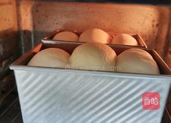 酸奶吐司（波兰种）2个450g吐司的做法图解20