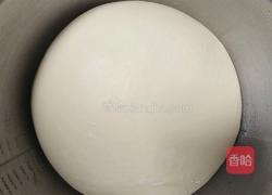波兰种奶油吐司(2个450g吐司)的做法图解9