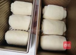 波兰种奶油吐司（2个450g吐司）的做法图解19