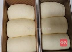 波兰种奶油吐司(2个450g吐司)的做法图解20