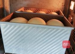 波兰种奶油吐司(2个450g吐司)的做法图解21