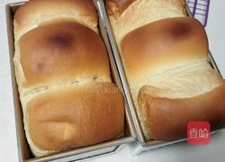 波兰种奶油吐司(2个450g吐司)的做法图解23