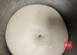 奶油吐司(波兰种 2个450g)的做法图解10