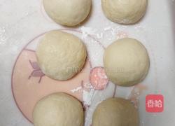 奶油吐司(波兰种 2个450g)的做法图解11