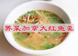 芥菜加拿大红鱼