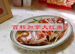 百秒加拿大红鱼