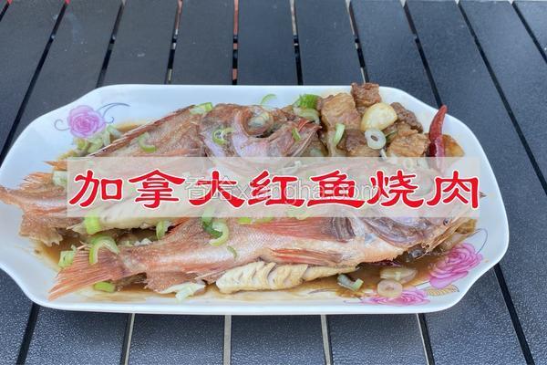 加拿大红鱼烧肉