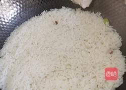 蚕豆焖饭（春饭）的做法图解8