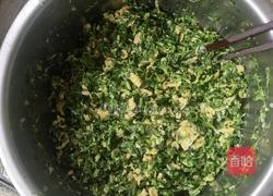 苜蓿鸡蛋饺子的做法图解5