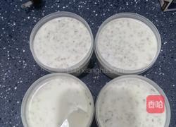 希腊酸奶的做法图解5