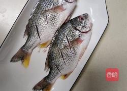 香煎黄翅鱼的做法图解1