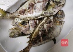 红烧泥猛鱼的做法图解2