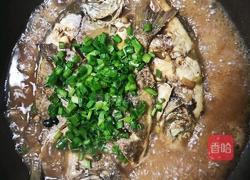 红烧泥猛鱼的做法图解6