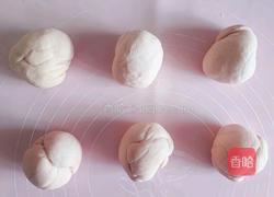 爱心椰蓉馒头卷的做法图解2