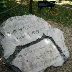 我的世界我追著