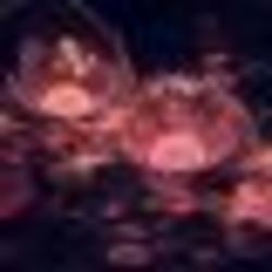 永遠(yuǎn)快樂62