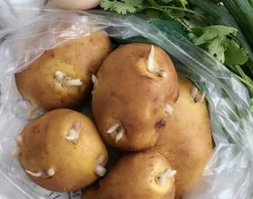 看看我的今日早餐！大家看出有什么特別的嗎？仔細(xì)看，仔細(xì)看