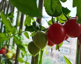 手機隨拍，記錄生活