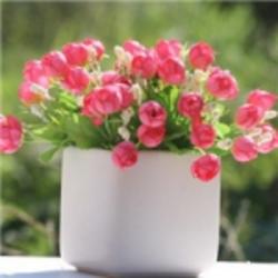 樊育平蜂蜜雪鄉(xiāng)特產