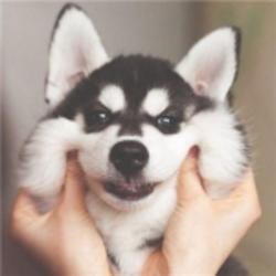 apple用戶(hù)101040