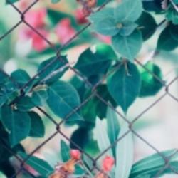 apple用戶(hù)94330