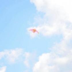 android用戶1609830